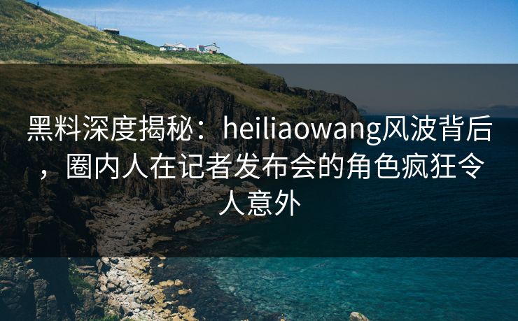 黑料深度揭秘：heiliaowang风波背后，圈内人在记者发布会的角色疯狂令人意外