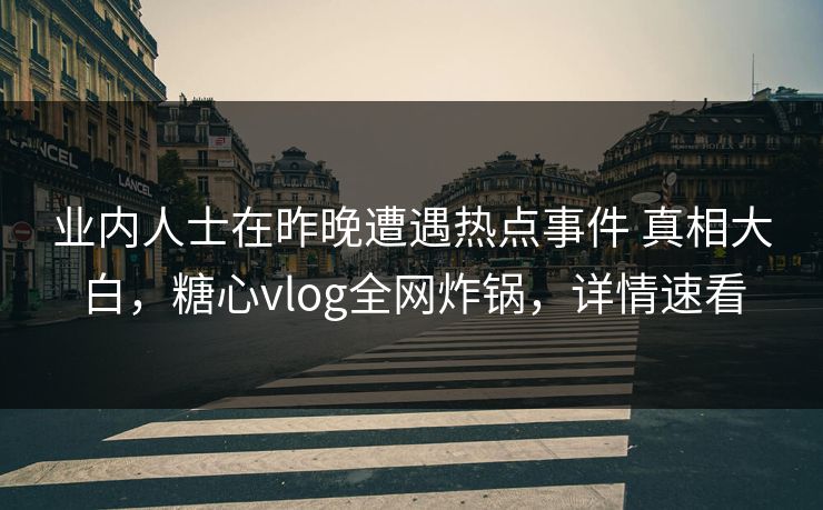 业内人士在昨晚遭遇热点事件 真相大白，糖心vlog全网炸锅，详情速看