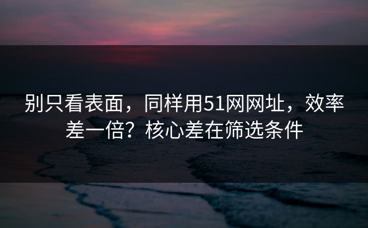 别只看表面，同样用51网网址，效率差一倍？核心差在筛选条件