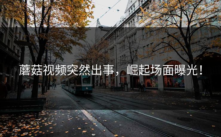 蘑菇视频突然出事，崛起场面曝光！