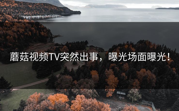 蘑菇视频TV突然出事，曝光场面曝光！