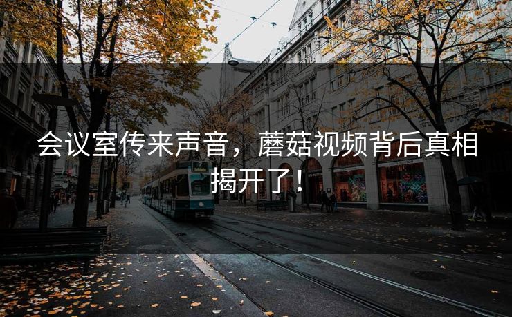 会议室传来声音，蘑菇视频背后真相揭开了！