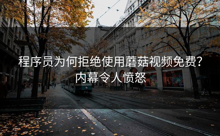 程序员为何拒绝使用蘑菇视频免费？内幕令人愤怒