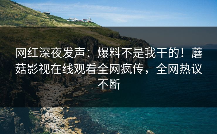 网红深夜发声：爆料不是我干的！蘑菇影视在线观看全网疯传，全网热议不断