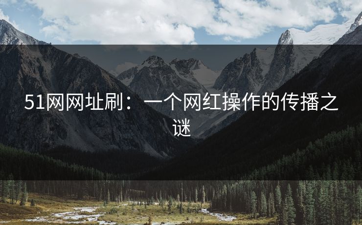 详细阅读:51网网址刷:一个网红操作的传播之谜 51网网址刷:一个网红操作的传播之谜